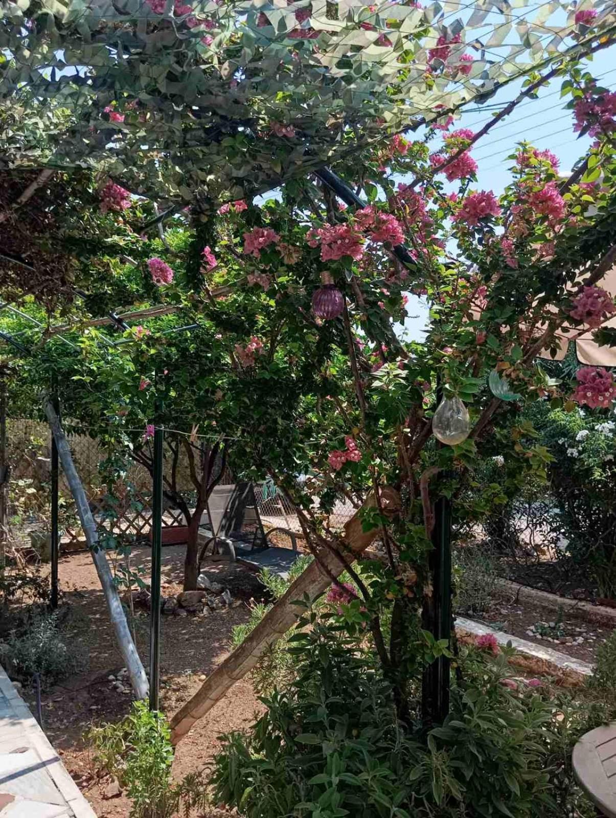 Εξοχικό Roxani Villa Ambelakia ภายนอก รูปภาพ
