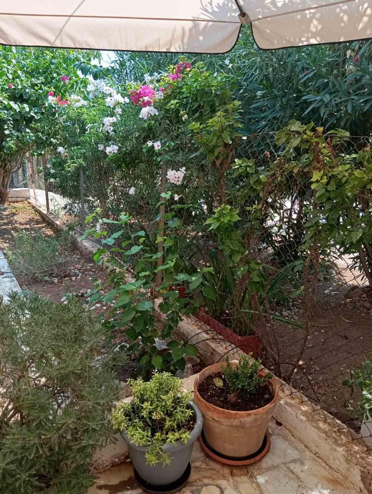Εξοχικό Roxani Villa Ambelakia ภายนอก รูปภาพ